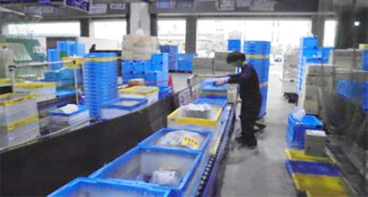 倉庫自動化ソリューション